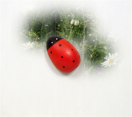Ladybug with magnet