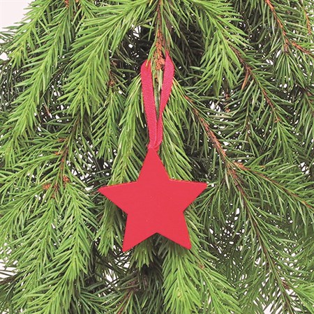 Star red with ribbon