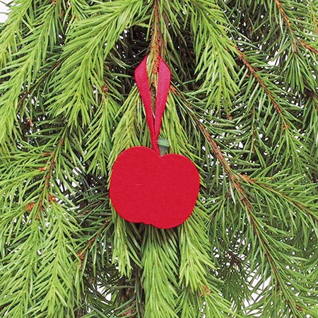 Apple red with ribbon