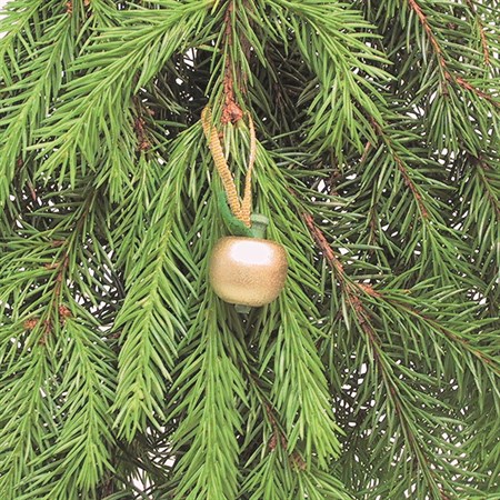 Paradisäpple guld