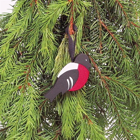 Bullfinch with ribbon