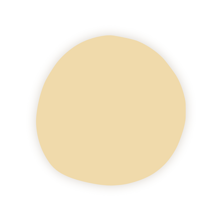 Paint apricot 500 ml