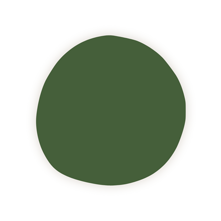 Paint dark green 500 ml